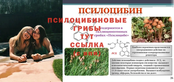 а пвп мука Абинск