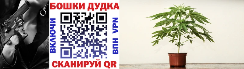 Шишки марихуана AK-47 где найти наркотики Карабаново